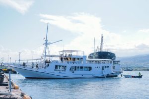 Kareem-The-Explorer-Komodo-Sailing-Boat-Trip-from-Lombok-to-Labuan-Bajo2